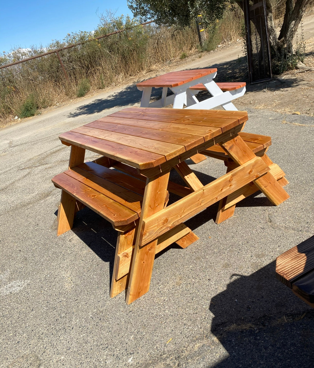 Adult Detached Picnic Tables
