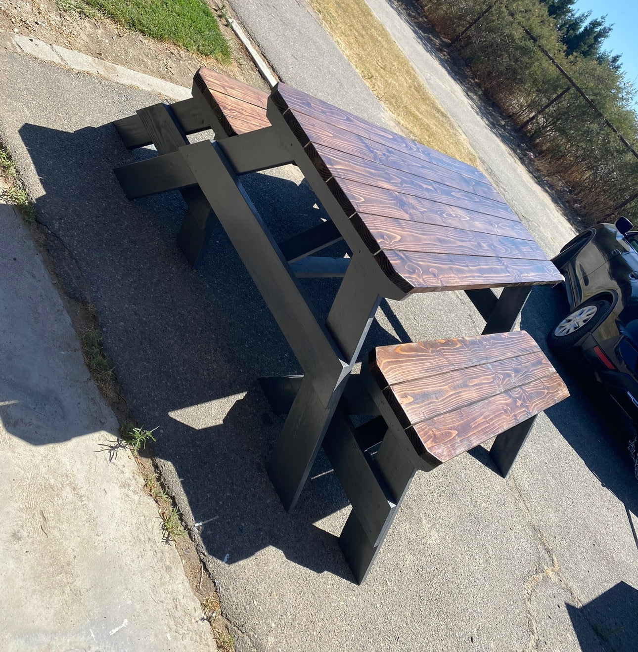 Adult Detached Picnic Tables