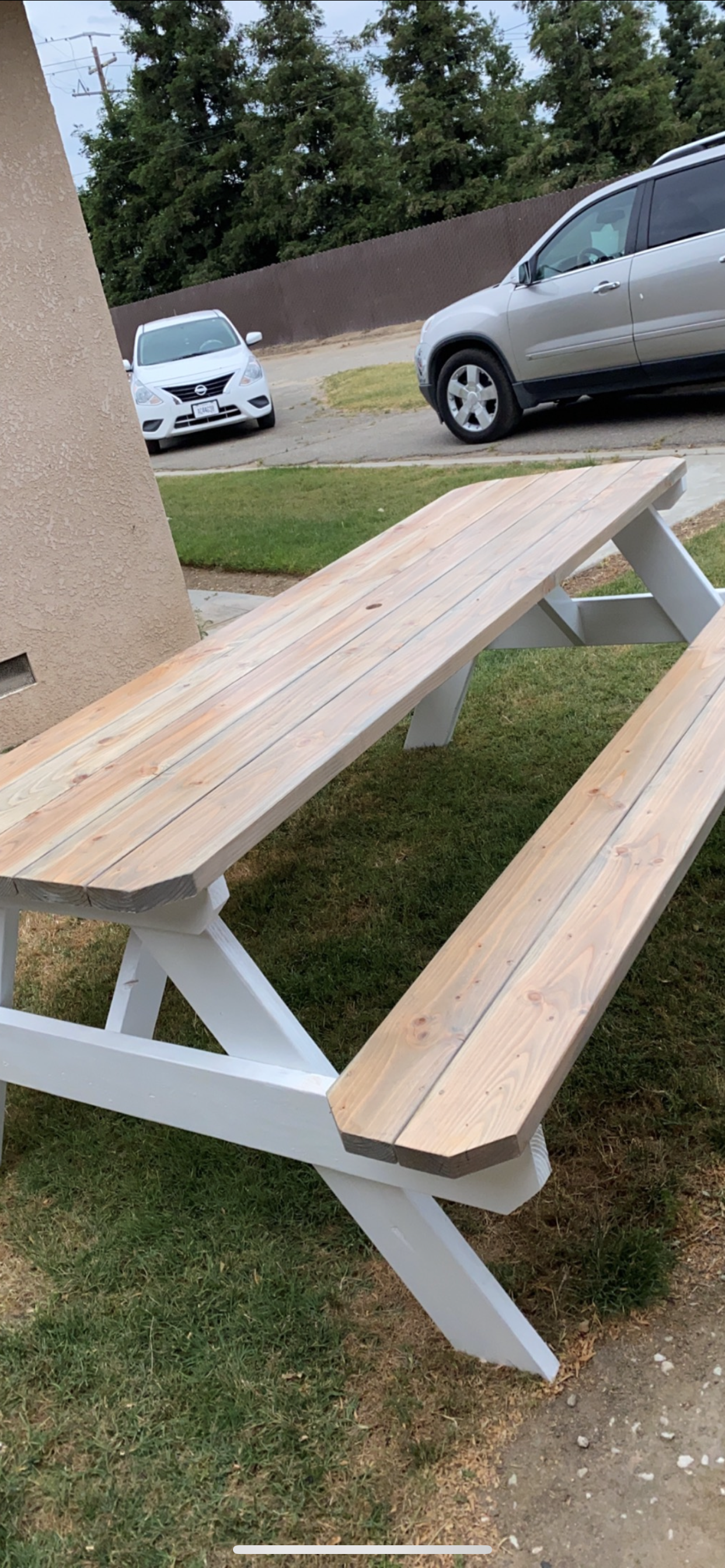 Adult Picnic Tables